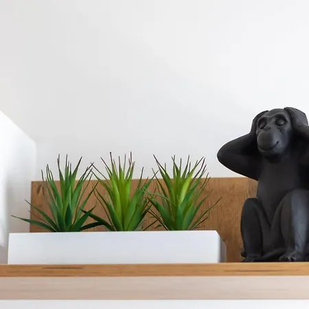 Jugo Apartment Split